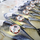 赤身もトロも一切れで！京都の新名物「都まぐろ」と、天橋立ごほうび旅