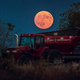 ƦϤƤ˵ࡼᣲǯ󥷥󽣥/Ross Harried/NurPhoto/Getty Images