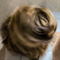 ɥ뤹