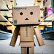 Amazon�Ҹˤǿ�ʬ�򱣤���Ư�������Ԥ����ֲ���ϫƯ�Ķ��פȤϡ�