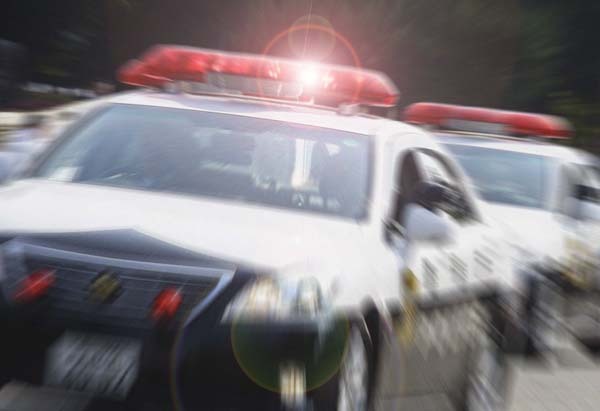 �̿��ϥ��᡼���ʣá������������