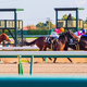 ニコニコ生放送、船橋競馬場、川崎競馬場、浦和競馬場の全レースを生中継開始