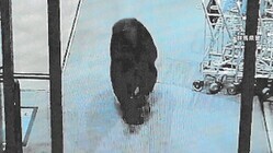 ֤ĤޤʧΤȭ碌ͤĥѡ˿ޤ˽㤤ʪ2ֵͥҤʤ֤äƤܷԤ󡡷ϡĻ