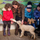 �Ĥ��ҤȰ��˻��Ӥ�Ӯ���Ӥǥߥ륯��Ϳ���륭�㥵����ޡʲ����ϡ�Kensington Palace��2020ǯ2��12����Instagram��Today The Duchess of Cambridge has taken her UK-wide ��5BigQuestions survey to Northern Ireland and Scotland, starting with a visit to ��TheArkOpenFarm in County Down, Northern Ireland.�ס٤Υ����꡼�󥷥�åȡ�