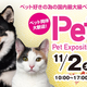 /Υ٥ȡۤ籿ư񤫤̿ƲޤǡPet2024 סʥƥå11/2～4