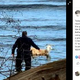 �������ä��䥮���ɤ��������ϸ��ٻ����ʲ����ϡ�BELFAST ��MAINE�� POLICE DEPARTMENT��2020ǯ12��30����Facebook��Today the Belfast Police Department received a report that a goat had escaped from its owner in the parking lot of the Belfast Veterinary Hospital.�ס٤Υ����꡼�󥷥�åȡ�