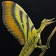 Model-of-Mirasaura-grauvogeli