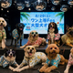 �Խ�Ǥ��緿���Ȳ�Ŭ��ͷ�٤롣WHATAWON�����⥤�٥�ȡ֥�����Fes Summer Party�פ�8��29������