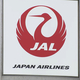���ä��Ƥ߳ڤ����ʤäƤ��ޤäơġ�JAL�����եѡ���������̳�����˲��٤ʰ��򡡥��륳���븡�Τǽ�ȯ40ʬ�ʾ��ٱ䡡���ʤ��ƺ�