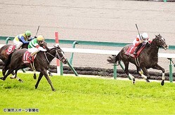 ;�Ϥ�Ĥ��ʤ��飲�ϿȺ��֤Υ����ȥ���ʡ��ꥢ�ʱ��ˡ��̼����ζ�����