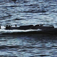 Large figure1 gallery2