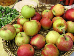 
��Eden, Janine and Jim/Flickr��
