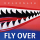 Dragon Ash��Fly Over�٥��㥱�å�