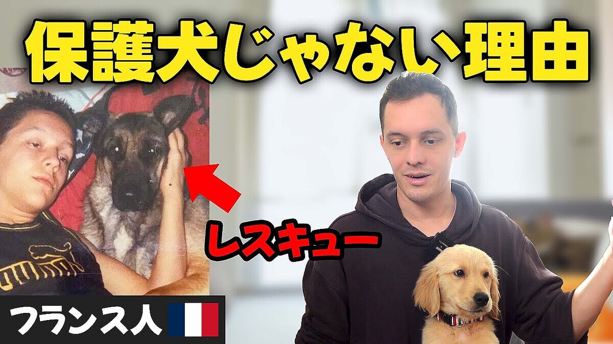 �ե��ꥢ���YouTuber�ˡ��ݸ�ưʪ�Ǥʤ������������ͳ�ִ�ñ����ʤ�����²�ΰ�����ͤ�����