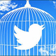 Twitter�ǥ���������Τ�줺����Ǥ��뿷��ǽ�֥ߥ塼�ȡפ�Ȥ���ˡ