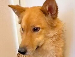 ɹο5֤ޤ褤³ݸ ͻҤѲ