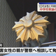 Daiichi-TV(�Ų����ƥ��)