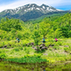 Ĺ���Ȳ����ֵٲ�¼��ȹ⸶�׹�Ω�����ޥ���ƥ�Х����ȥ쥤�롪E-MTB�˾����ʥ��ݥåȤ� 6/1～11/4