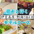 ڸȤФƦ⸶Ǯ12ǥ륳ーۿ