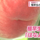 JRT�͹�����
