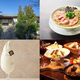 
			���ܤο�Ź���󤴾Ҳ� 5��Ρ�New Open News�ץ�󥭥�
		