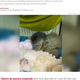 保護された子猿（画像は『Metrópoles　2022年12月31日付「Vídeo: filhote de macaco que viu mãe morta recebe cuidados veterinários」（Divulgação / PMDF）』のスクリーンショット）