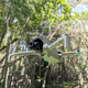 DJI Lito 1