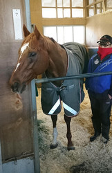 �������Υե��֥�꡼�Ӥ��������⥺�������åȡʱ��϶̰�����