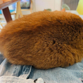 ݤޤäƤǭ