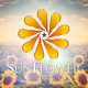 FANTASTICS���ȼ�ʬ������������̤��ɤؤ�Ƨ�߽Ф��и礬�����줿���ʡ�SUNFLOWER��������꡼������
