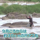 �嶿���Ĥǽ�Ƥ�ˬ��𤲤�֥�����ײ�ء�23��24���Ϲ��������Ѹ��ס���ʬ