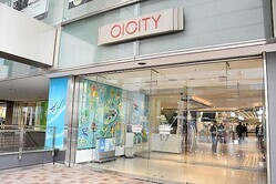 ͱξȻߡ֥ޥ륤ƥ͡2026ǯ2Ź