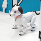 ���Τ��ޤ�ꤵ��ȶ��˽�ë�γ���ѥȥ����롪���ˡ����θ������٥�ȡ�Shibuya Town with aibo�׳�����