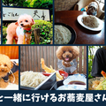 ڴۥڥåȲĤΤ16ƱȼŹOKΤŹ䤳