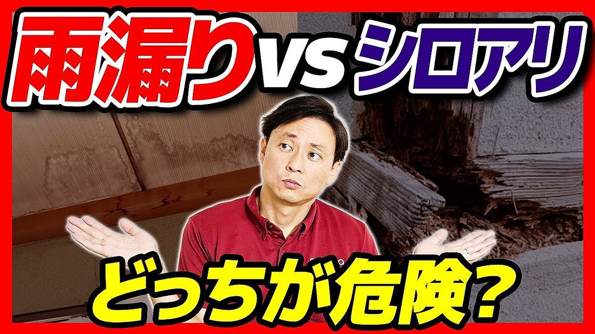 �ڵ�ˤ��������Ÿͷ��ơ��ֱ�ϳ���vs�֥�������פ�궲�������ΤϤɤä���