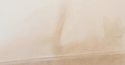 ǭĶ®ưäƤ?725ĶΤ