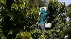 20200214_TheNewFrontiersofFarmingComeWithHugeClimateRisks_01_Top