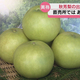 ＫＲＹ山口放送