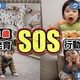 �ճ����Τ�ʤ�2～3�л���SOS�����󡪡ֿ��꤬�����ס�ž�Ӥ䤹���פ˱����줿ȯã�Υҥ��
