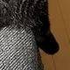 朝起きて『ソファ』を見たら…飼い主が思わず撮影した『猫の様子』に「可愛い座り方ｗ」「金持ちの家にある絨毯ｗ」と笑う人が続出