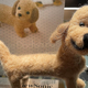 �ʤ󤫰㤦���ɤ��襤�������å����ե�ɤ����ӥե���Ȥ����Ȥ��äפ�