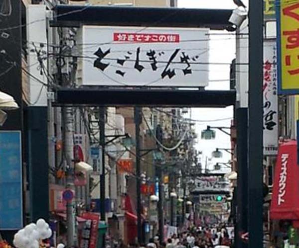 ��Ŵ�ĥͥ��ɤξ�Ź����ݡ��Ȥ�ġʸͱ۶�¡ˡ��ʣá������������