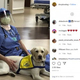 ��֥�ɡ��롦��ȥ�С��˴��ź����աʲ����ϡ�Susan Ryan��2020ǯ3��23����Instagram�٤Υ����꡼�󥷥�åȡ�