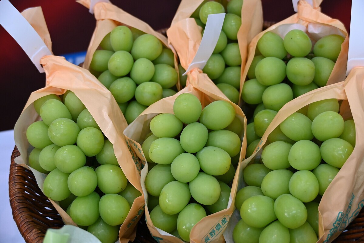 㥤ޥåȤ»ϾʤȤǯ100ߡܤȤפ򳤳ήФɤ뤫