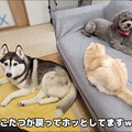 ե˽ޤǭȸ
