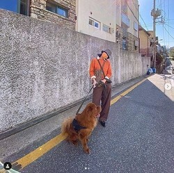 AOA �����󡢰����ȵ��������ʡ�����󥸿��Υ˥åȤȥޥ����ǻ�����