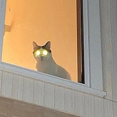 �դ��Ƥ�ʡ�zEChPHPqG2t32nT�ˤ���Υĥ����Ȥ��