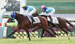 �����6R�������ե��ʡʱ��ˤ�3/4�ϿȺ���Ĥ��ǥӥ塼��Ǿ����Υ��ɥޥ���ӥ르