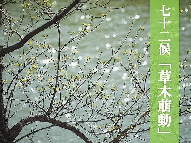 �ڼ�������۲�᤭�Ϥ᤿���ڤ��鴶�������ܤνդο�