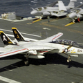 Large 240430 valkyrie 01